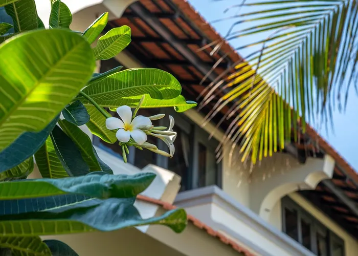 Khu nghỉ mát Blooming Lotus *