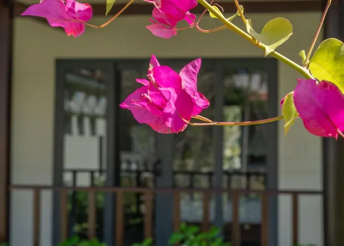 Blooming Lotus Phan Thiết